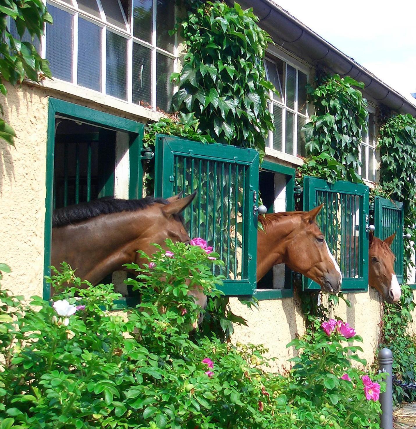 Gaestehaus Schloss Bothmer 호텔 슈바름스테드 외부 사진